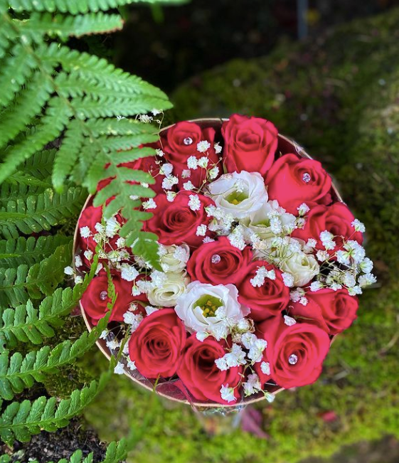Hat Boxes or Living Vases