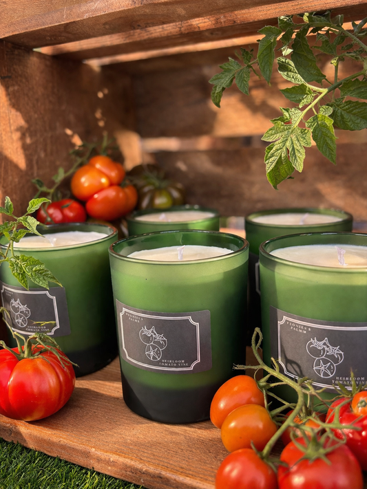 Heirloom Tomato Vine