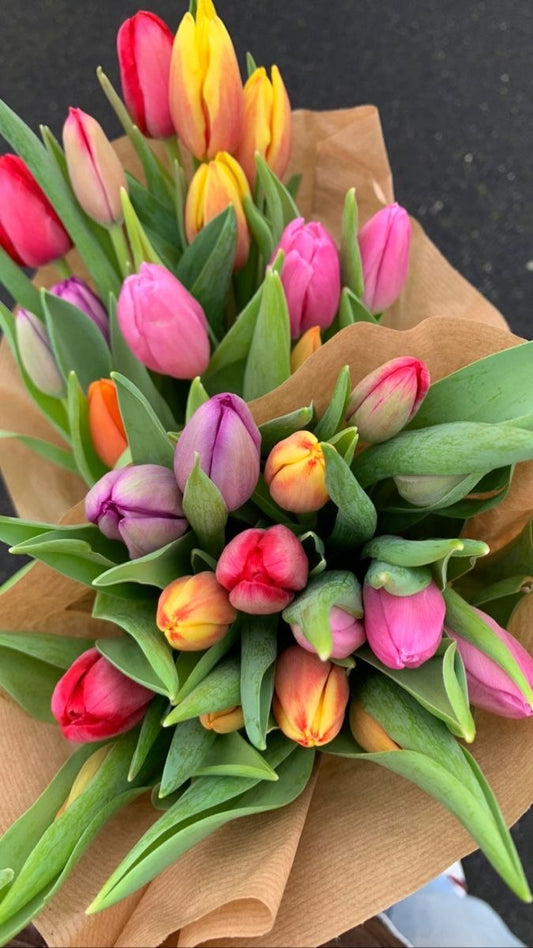 Tulip Only Bouquet
