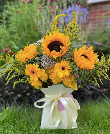 Hat Boxes or Living Vases